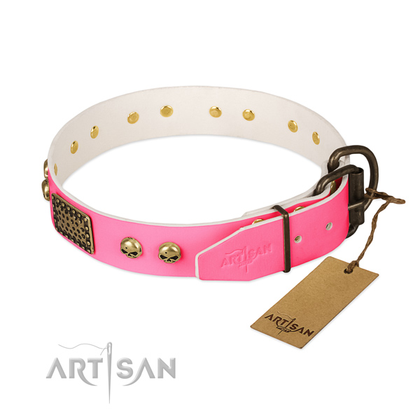Rust-proof buckle on walking dog collar