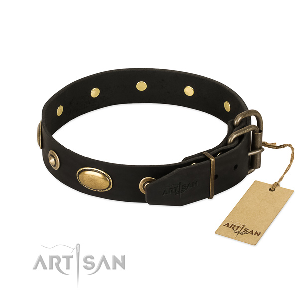 Corrosion resistant traditional buckle on genuine leather dog collar for your pet