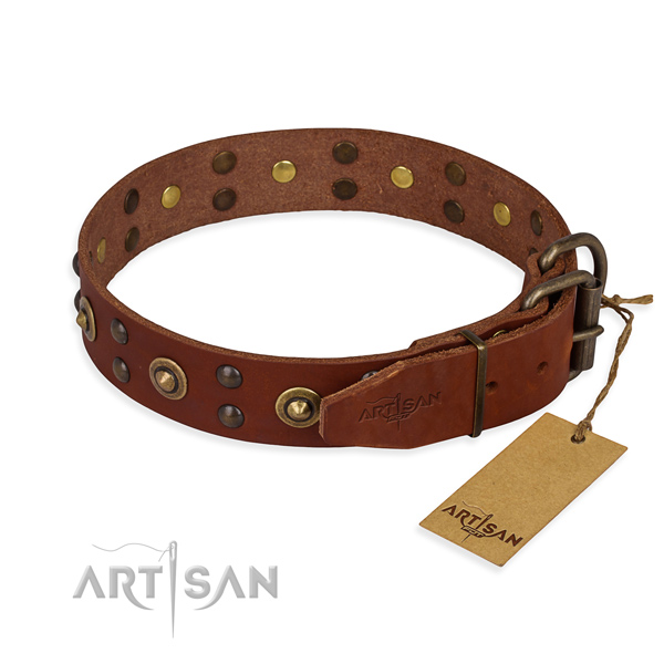 Reliable fittings on leather collar for your impressive pet