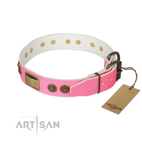 Durable decorations on daily use dog collar