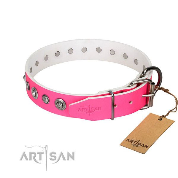 Strong leather dog collar with inimitable embellishments