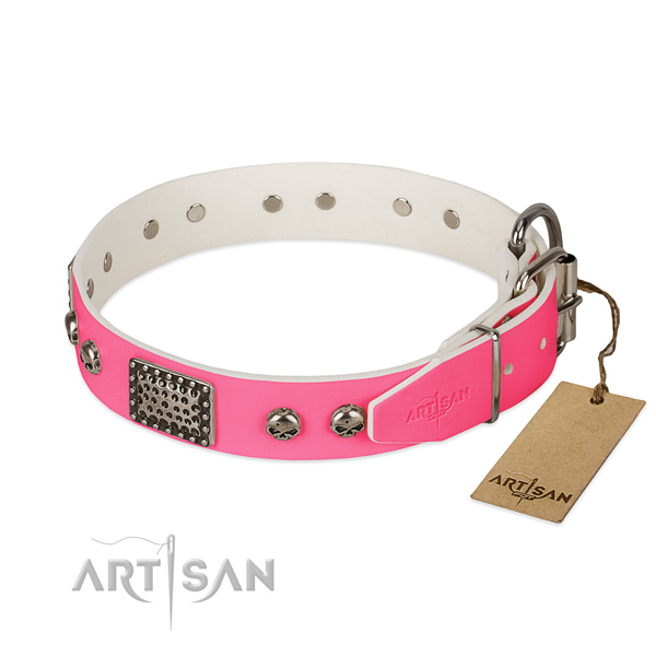 Reliable D-ring on everyday use dog collar