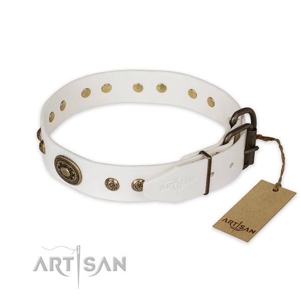 Rust resistant traditional buckle on full grain leather collar for stylish walking your doggie