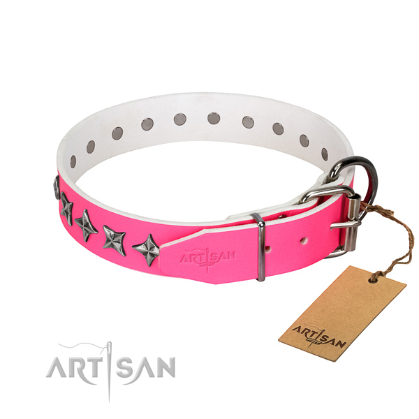 Top quality full grain genuine leather dog collar with extraordinary adornments
