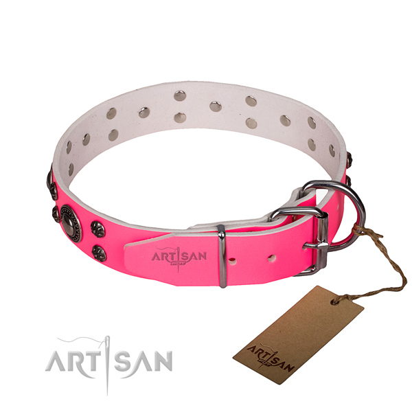 Walking adorned dog collar of durable leather
