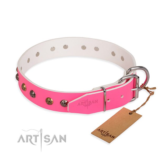 Full grain genuine leather dog collar with significant corrosion resistant adornments