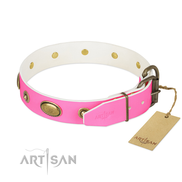 Durable adornments on genuine leather dog collar for your dog
