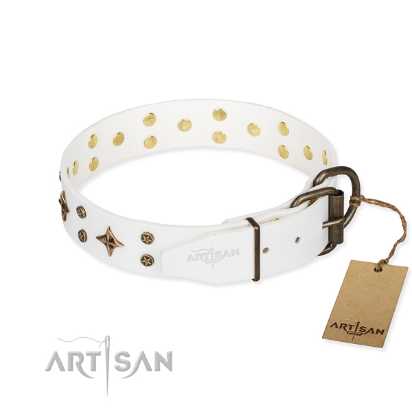 Walking embellished dog collar of top quality full grain natural leather