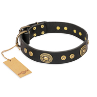 "Golden Radiance" FDT Artisan Black Leather Mastiff Collar with Old Bronze Look Ovals and Circles