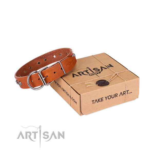 Strong buckle on dog collar for everyday walking
