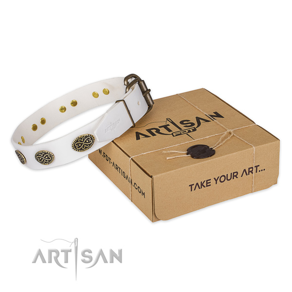 Rust-proof traditional buckle on leather collar for your beautiful pet