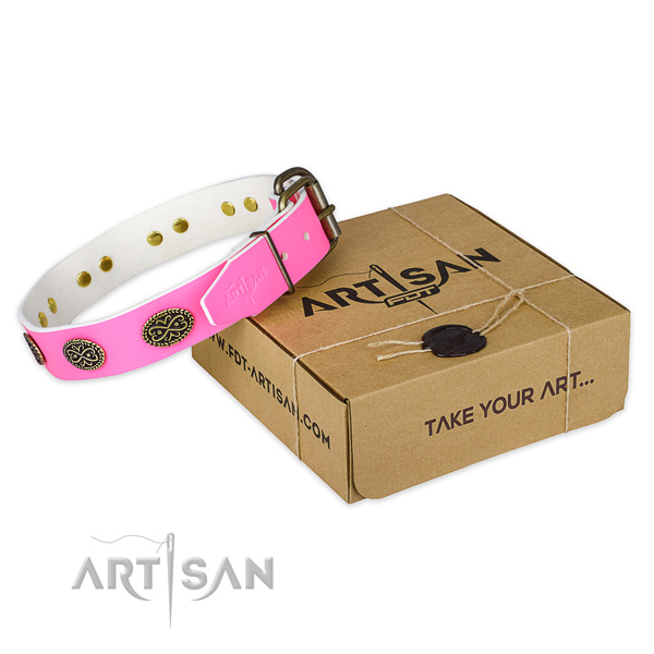 Corrosion resistant D-ring on dog collar for walking