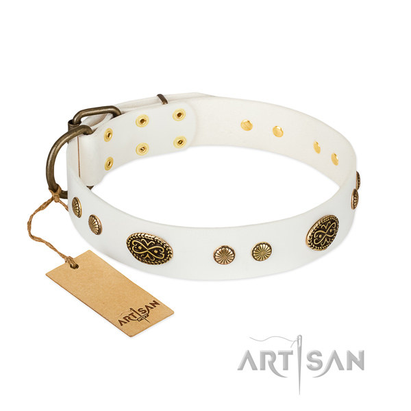Corrosion proof buckle on full grain genuine leather dog collar for your dog