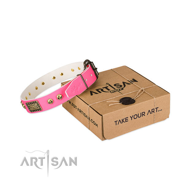Strong buckle on dog collar for everyday use
