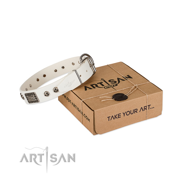 Rust resistant studs on dog collar for daily use