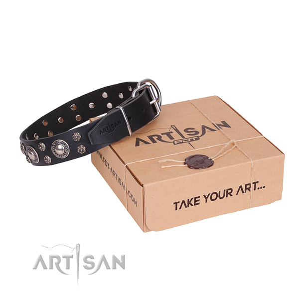 Easy wearing dog collar of finest quality natural leather with adornments