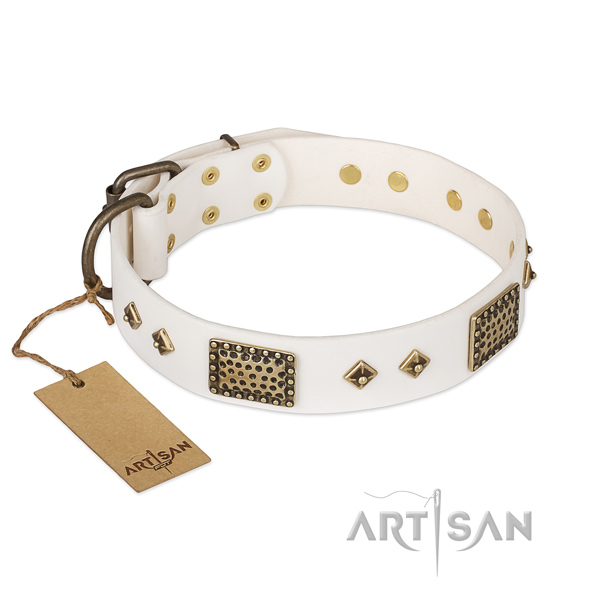 Adjustable leather dog collar for stylish walking