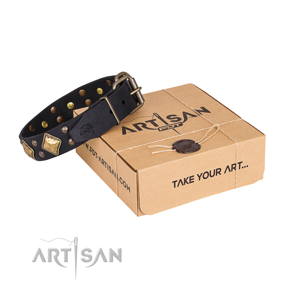 Stylish walking dog collar with Extraordinary durable studs