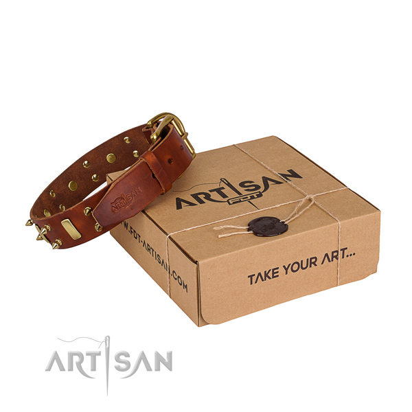 Fancy walking dog collar of strong genuine leather with studs