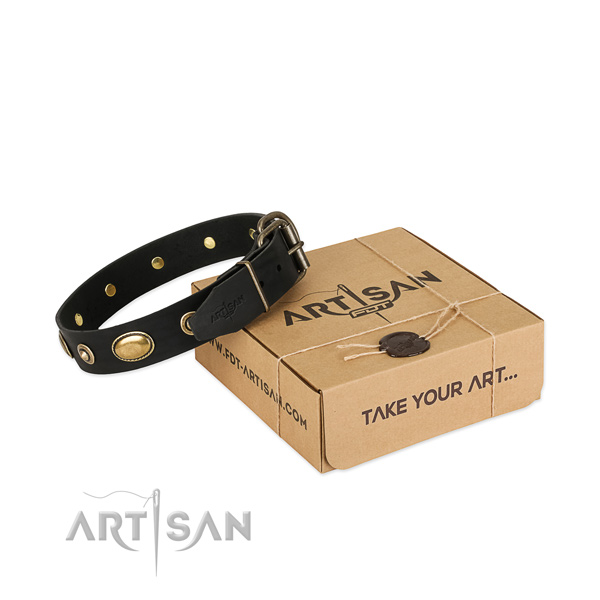 Corrosion resistant adornments on natural leather dog collar for your dog