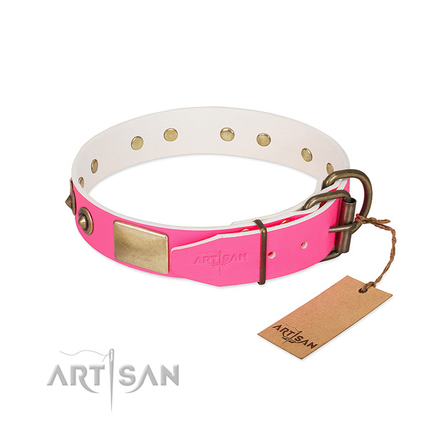Durable traditional buckle on full grain natural leather dog collar for your pet