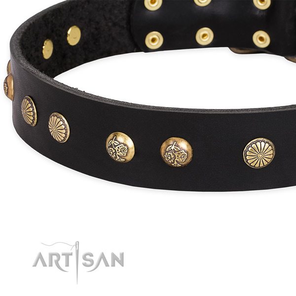 Natural genuine leather collar with corrosion resistant D-ring for your impressive dog
