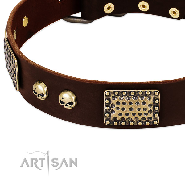 Corrosion resistant buckle on full grain natural leather dog collar for your pet