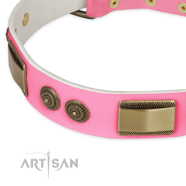 Full grain natural leather dog collar with decorations for stylish walking