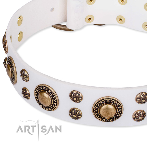 Comfy wearing studded dog collar of top quality leather