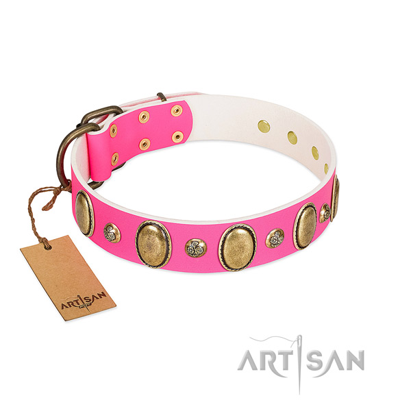 Walking gentle to touch full grain natural leather dog collar with embellishments