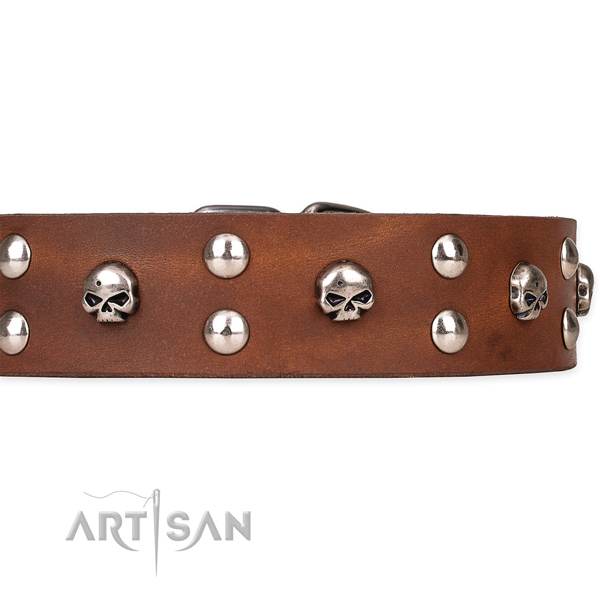Comfy wearing decorated dog collar of reliable natural leather