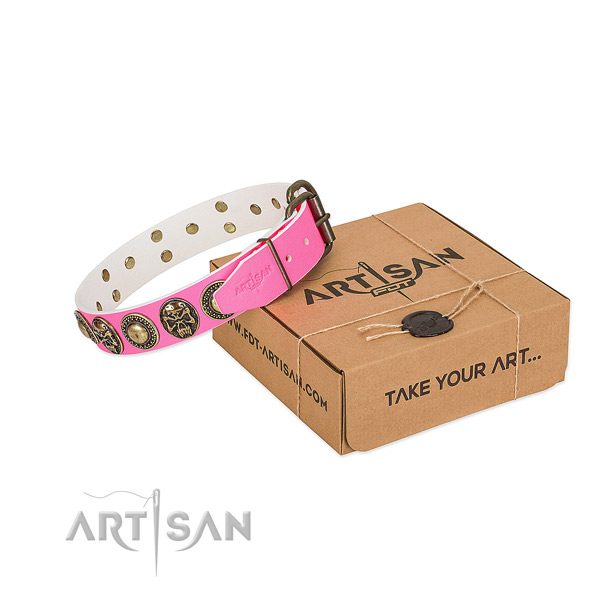 Corrosion resistant D-ring on dog collar for handy use