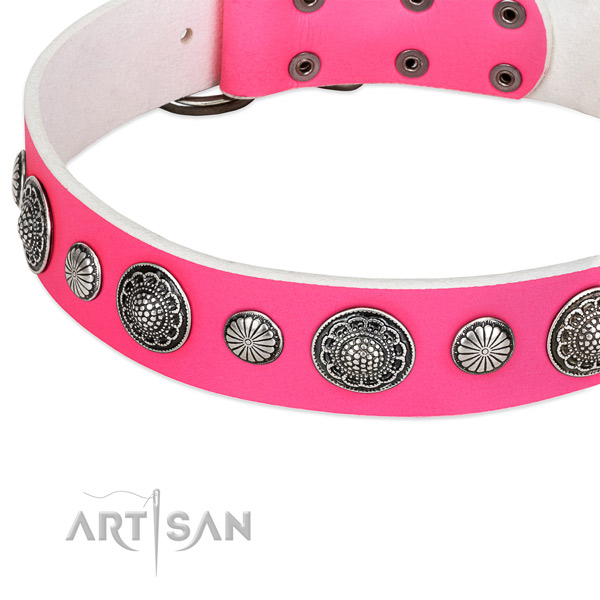 Leather collar with corrosion resistant D-ring for your handsome doggie