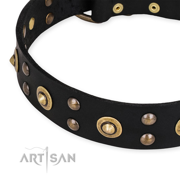 Genuine leather collar with reliable traditional buckle for your attractive canine