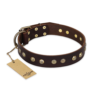 "Bronze Sheen" FDT Artisan Leather Mastiff Collar with Brass-Plated Studs