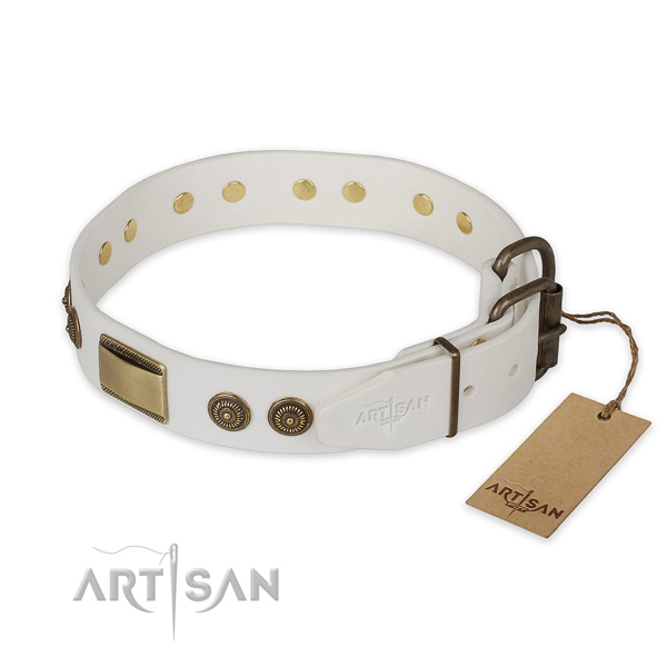 Strong hardware on full grain leather collar for walking your doggie