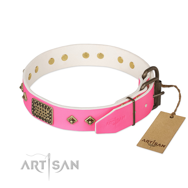 Rust-proof decorations on stylish walking dog collar
