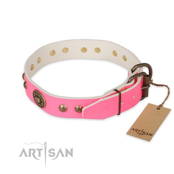 Rust resistant hardware on full grain natural leather collar for walking your canine