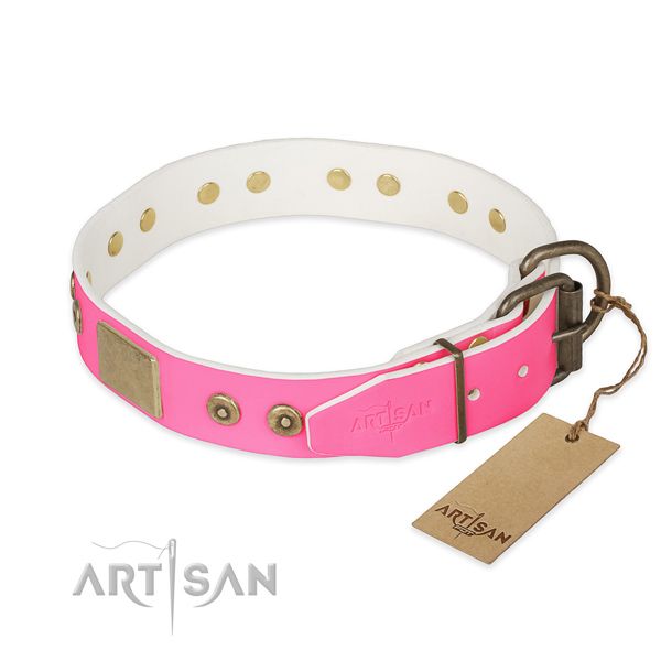 Rust-proof fittings on everyday use dog collar