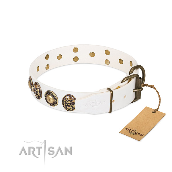 Rust resistant traditional buckle on comfy wearing dog collar