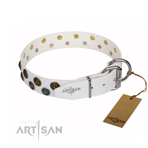 Comfortable wearing studded dog collar of quality full grain genuine leather