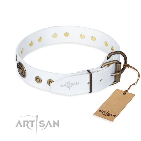 Full grain natural leather dog collar made of quality material with corrosion proof embellishments