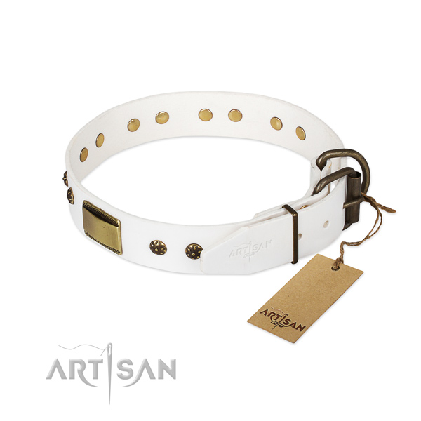 Full grain natural leather dog collar with strong fittings and embellishments