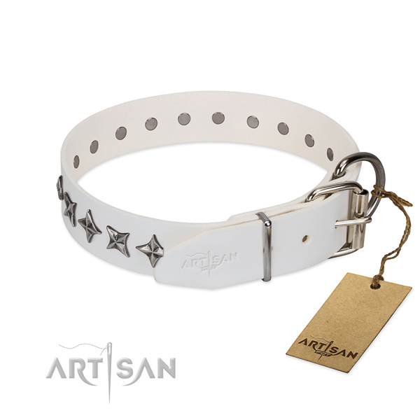 Fine quality leather dog collar with top notch decorations