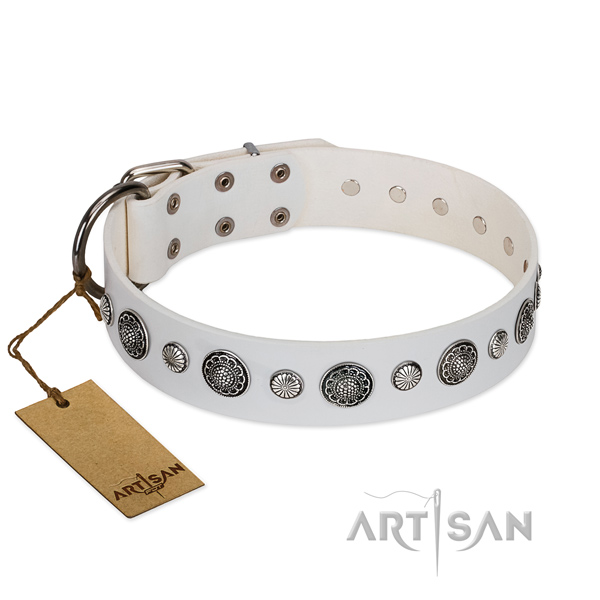 Top notch natural leather dog collar with rust resistant fittings