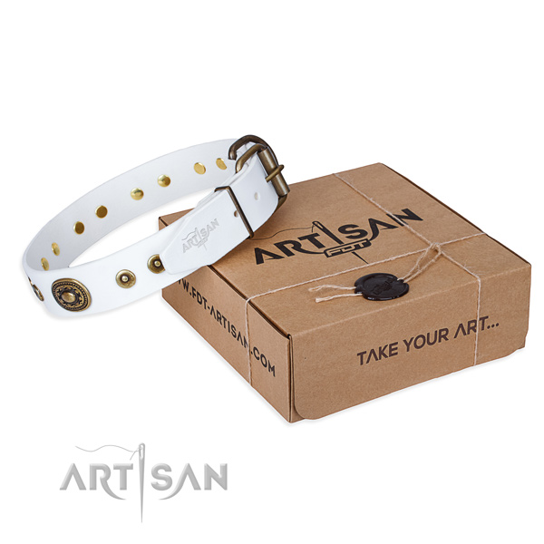 Full grain genuine leather dog collar made of soft to touch material with rust resistant D-ring