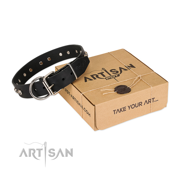 Corrosion proof decorations on dog collar for daily use
