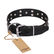 "Mystic Skulls" Decorated Leather Mastiff Collar with Skulls and Studs