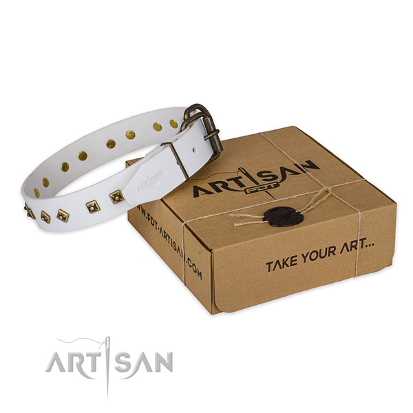 Corrosion proof D-ring on full grain natural leather dog collar for everyday walking
