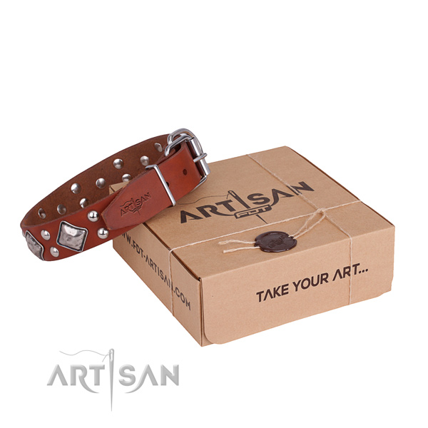 Basic training dog collar with Extraordinary reliable adornments